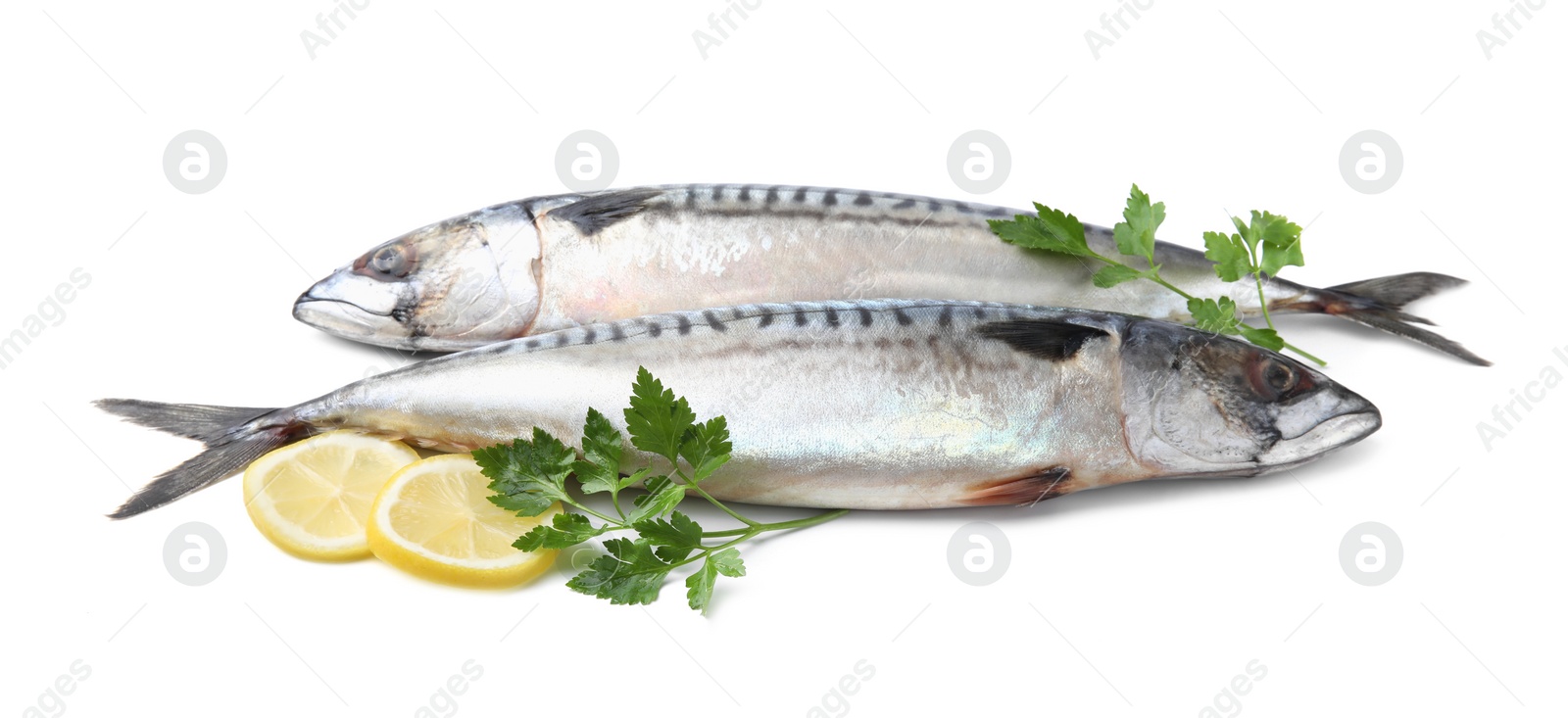 Photo of Mackerel fish with parsley and lemon on white background