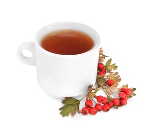 Photo of Aromatic hawthorn tea in cup and berries isolated on white