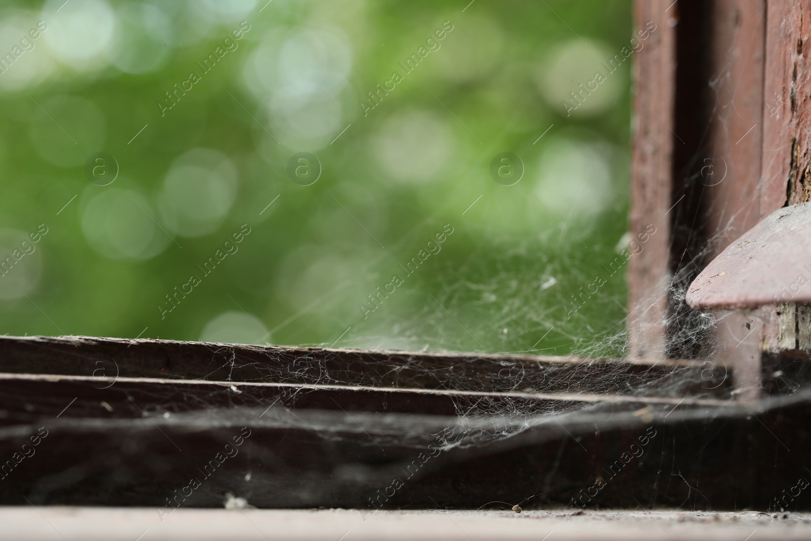 Photo of Cobweb on old wooden window frame indoors, closeup