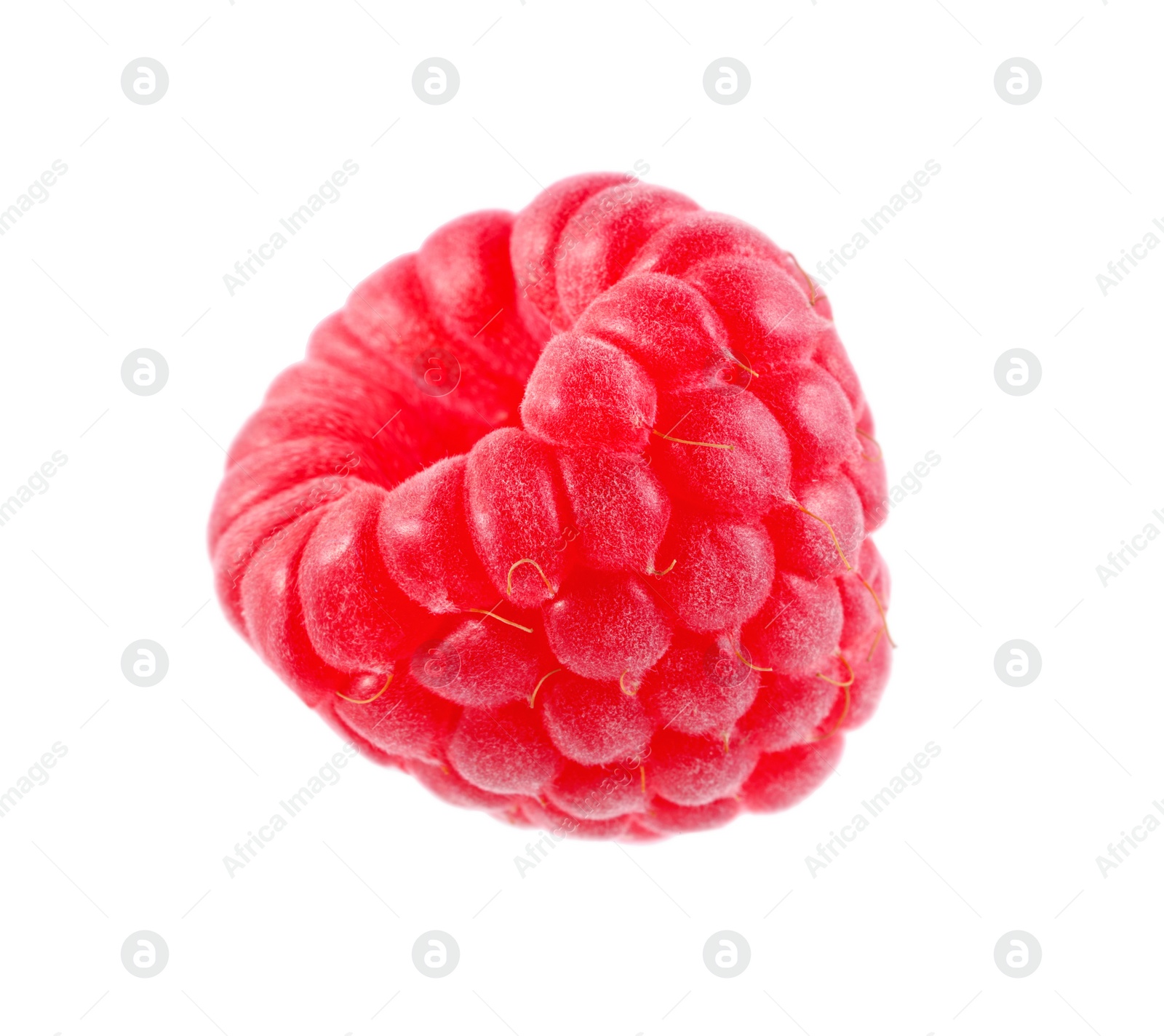 Photo of One tasty ripe raspberry isolated on white