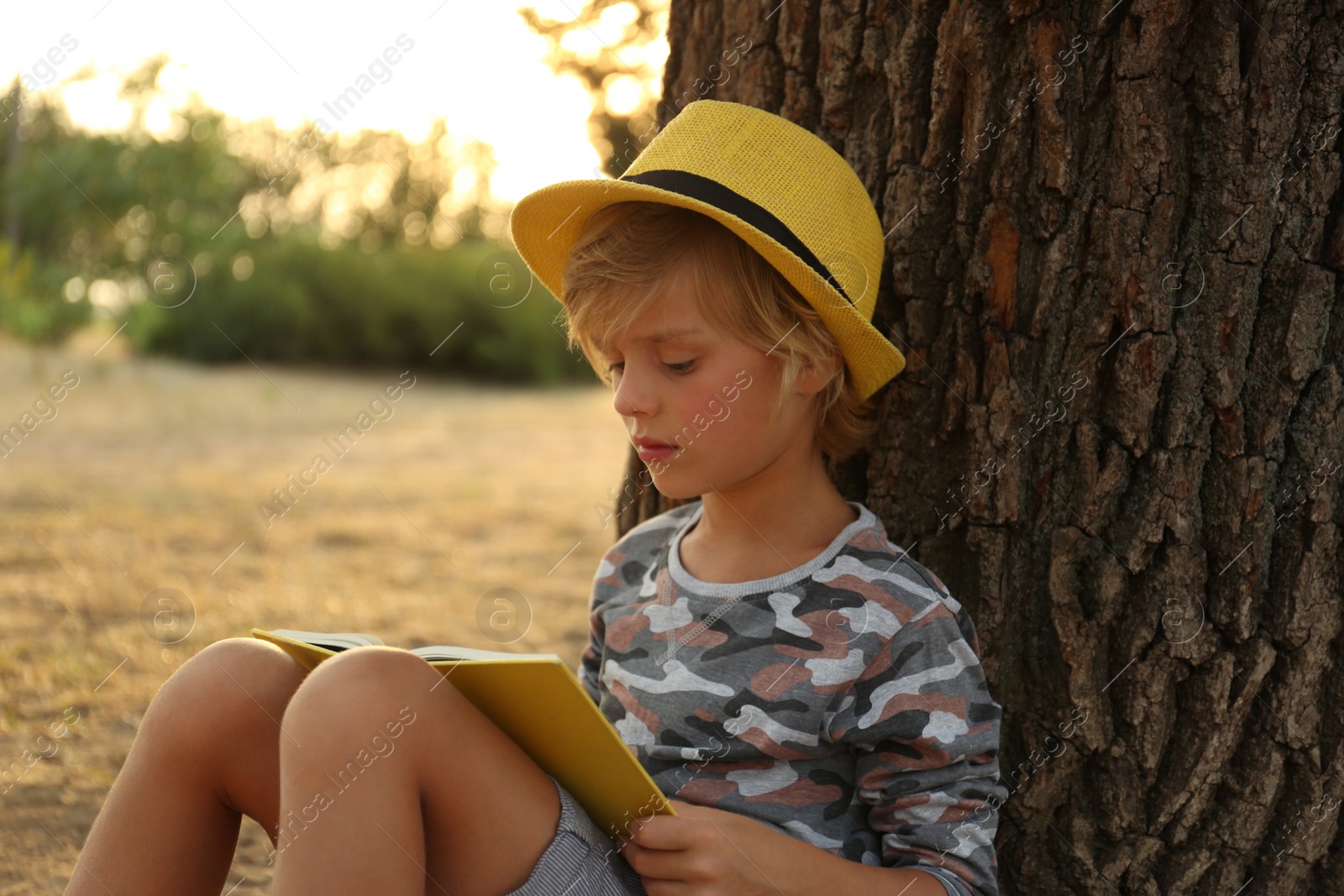 Photo of Cute little boy reading book near tree in park