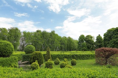Photo of Beautiful view of park with trees, bushes and green grass