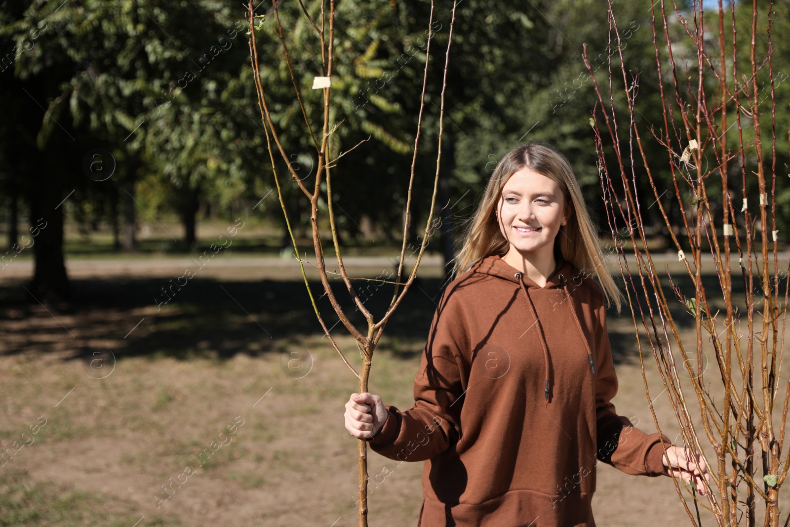 Photo of Happy woman with young trees ready for planting outdoors on sunny day