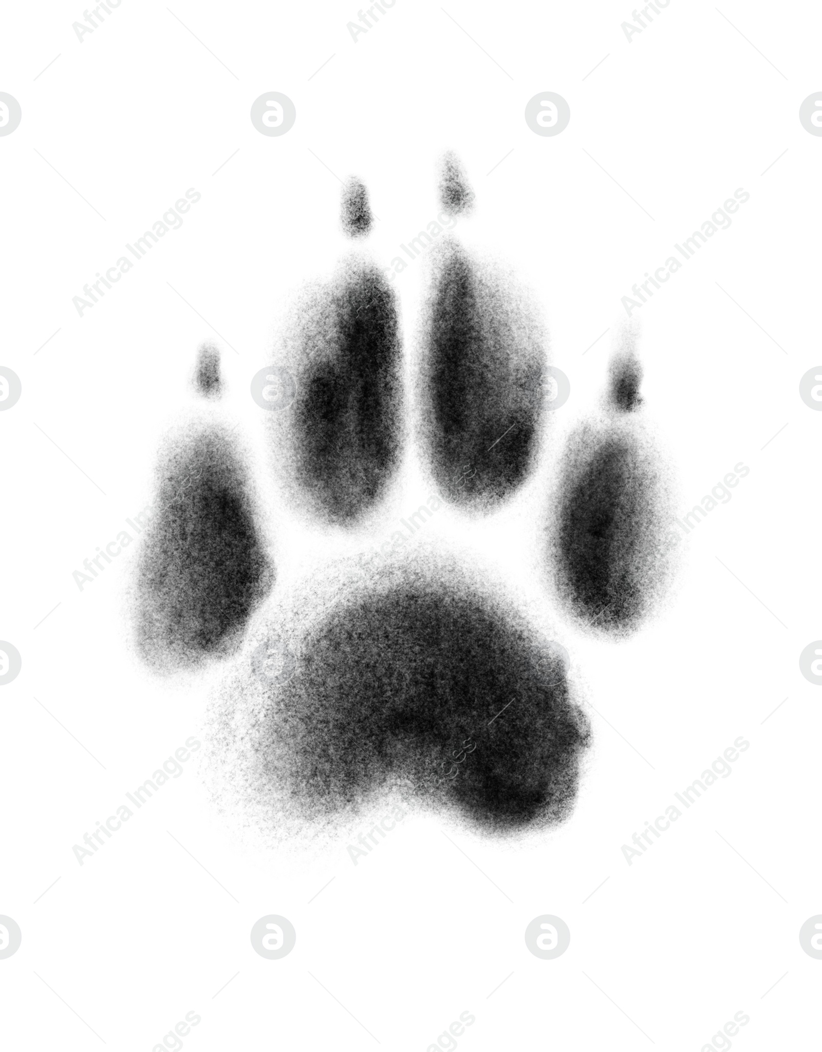 Image of One dog paw print on white background, illustration