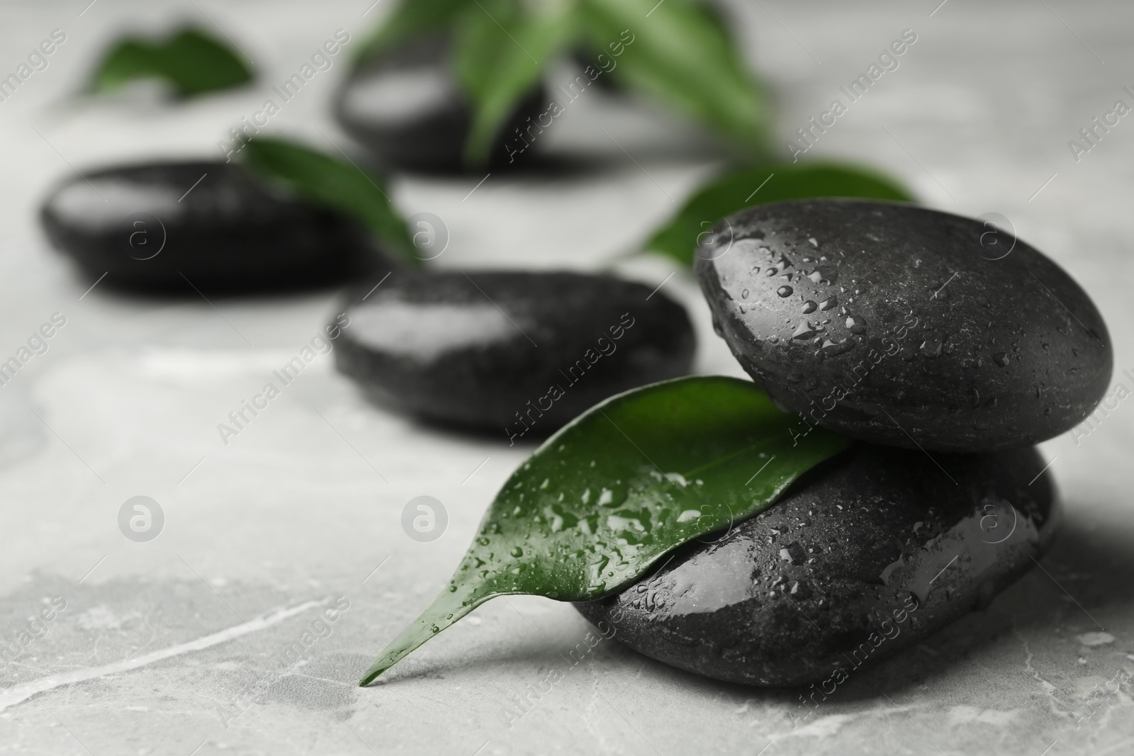 Photo of Wet spa stones and green leaves on grey background. Space for text