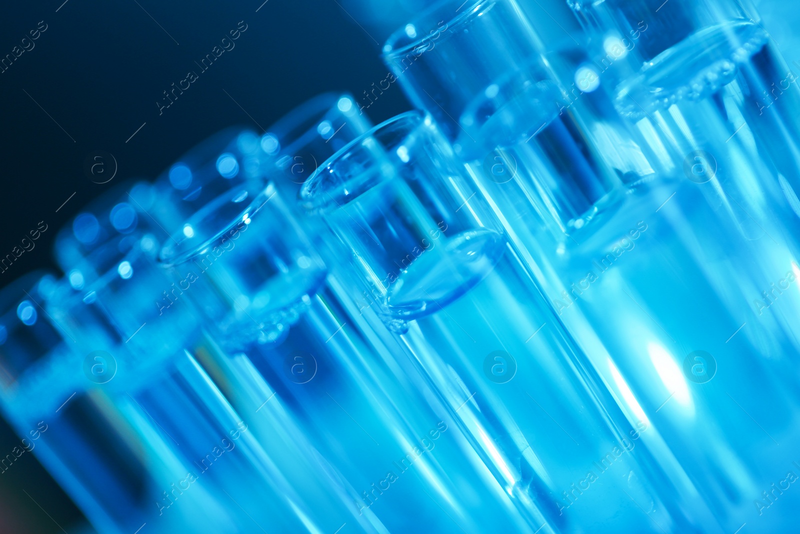 Photo of Test tubes with liquid on blue background, closeup. Solution chemistry