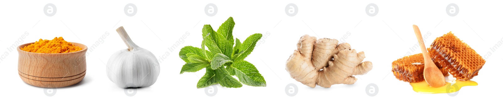 Image of Set of fresh products serve as natural antibiotics isolated on white. Banner design