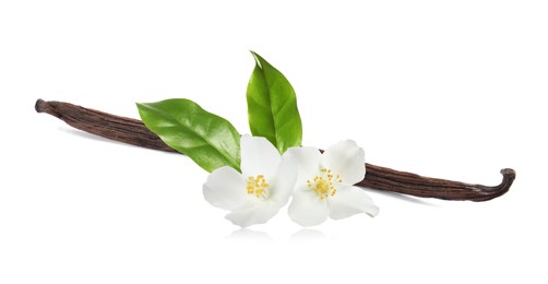 Image of Dried aromatic vanilla stick, beautiful flowers and green leaves on white background. Banner design