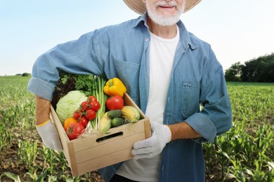 Image of Harvesting season. Farmer holding wooden crate with crop in field, closeup