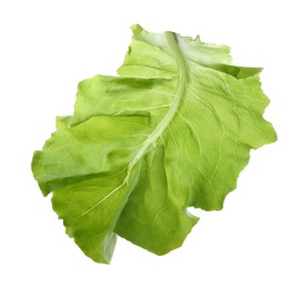 Photo of Fresh leaf of green butter lettuce isolated on white