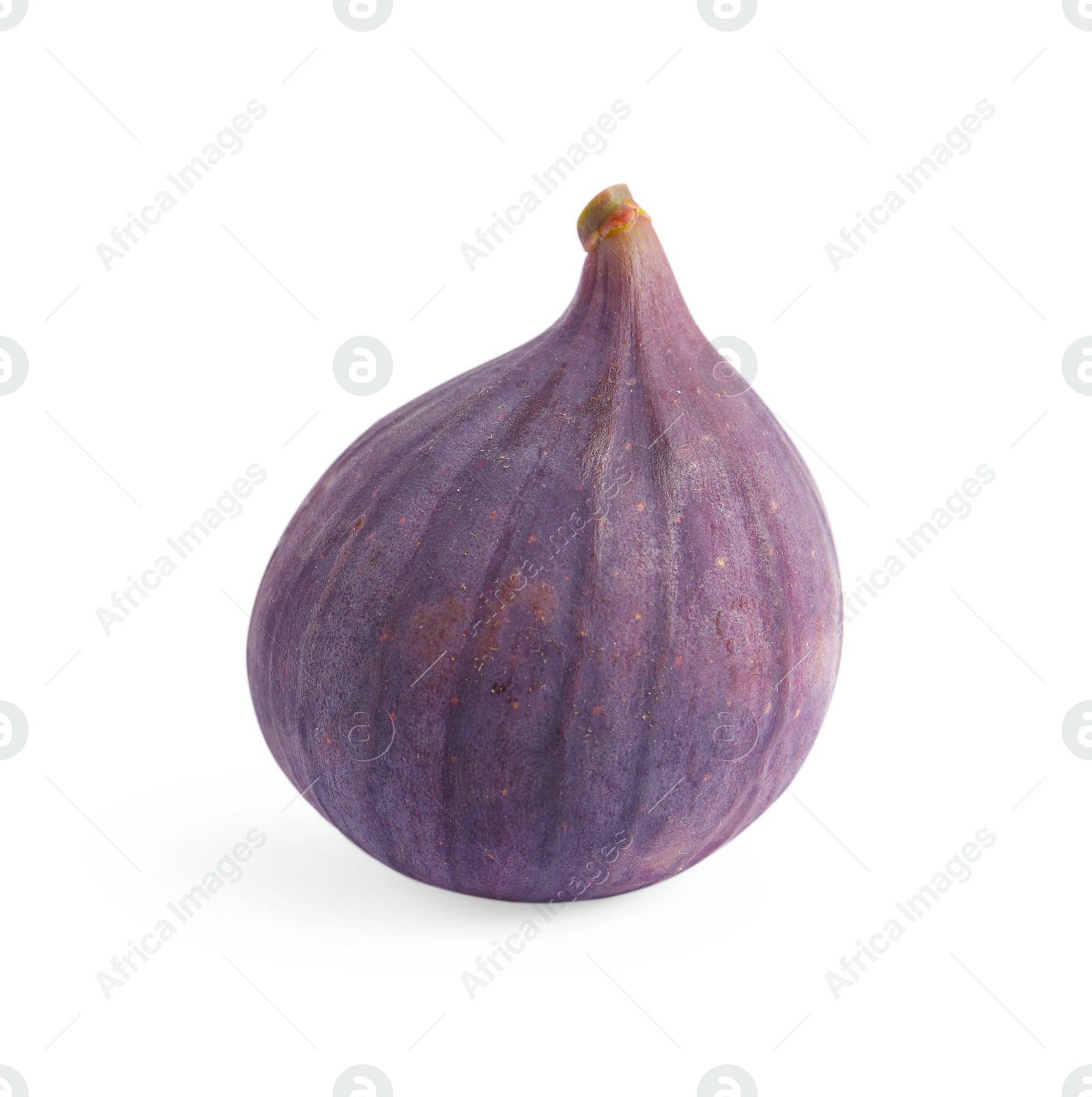 Photo of Whole ripe fresh fig isolated on white