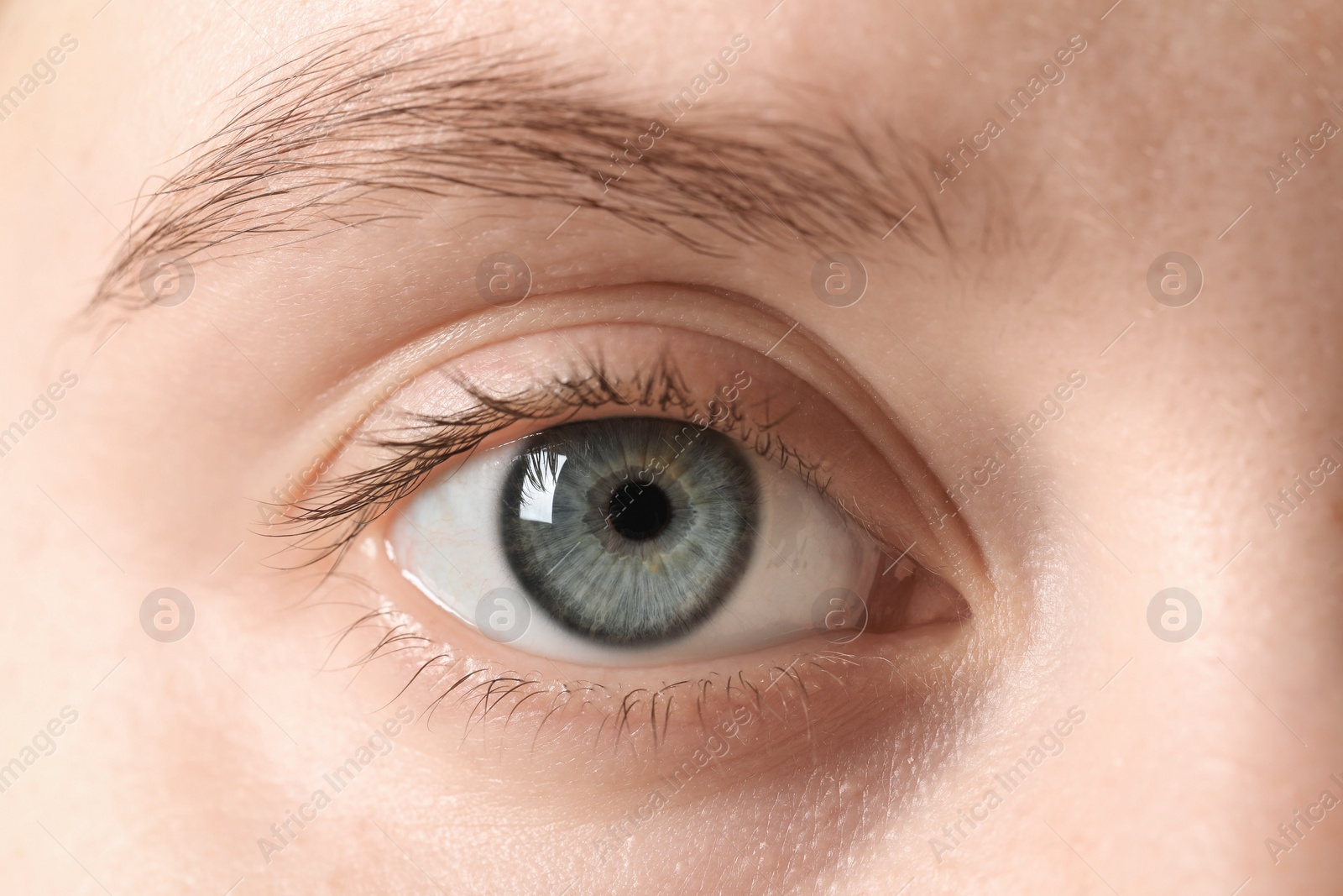 Photo of Macro photo of woman with beautiful eyes