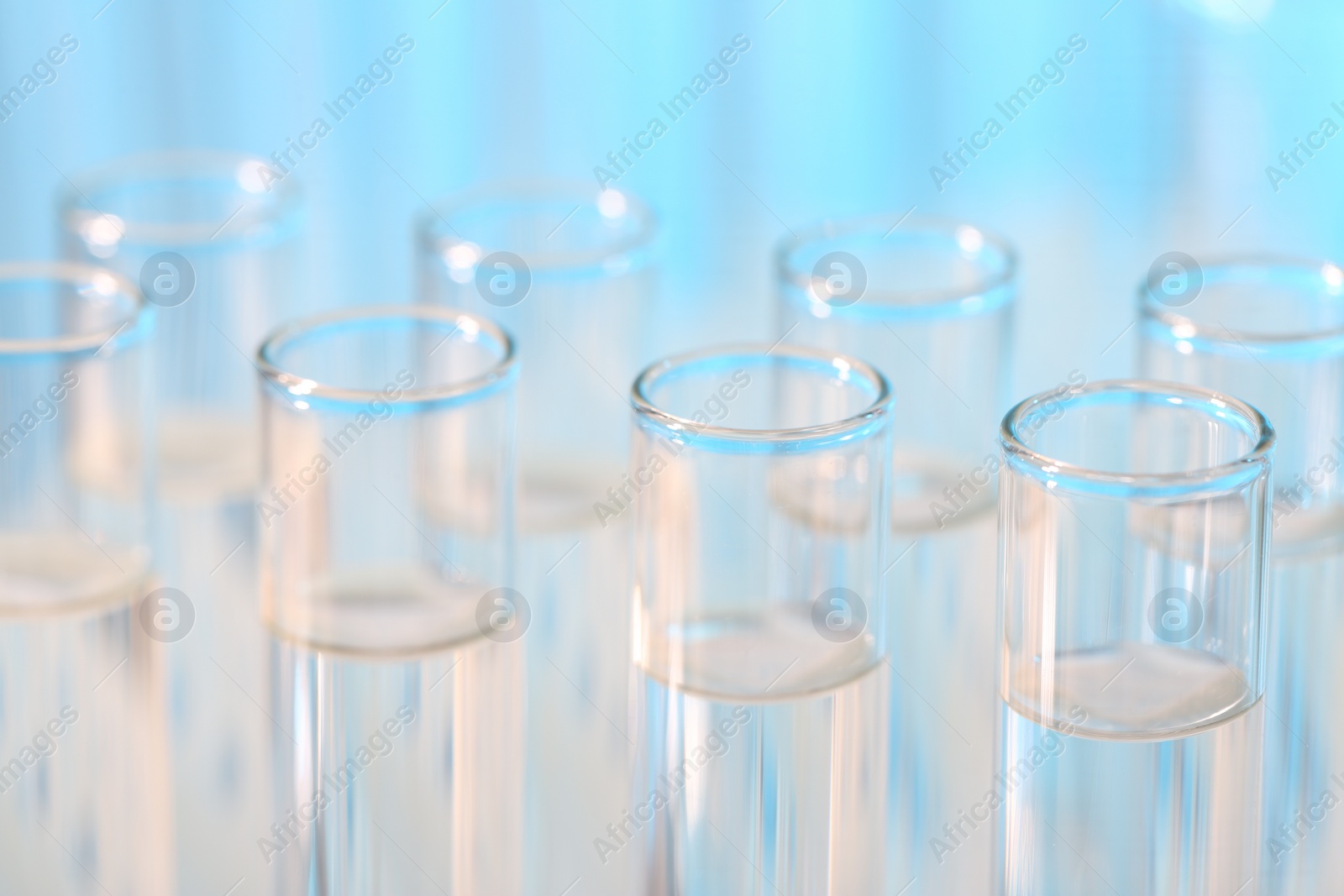 Photo of Laboratory analysis. Many glass test tubes on light blue background, closeup