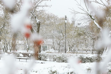 Photo of Beautiful view of city park covered with snow in winter