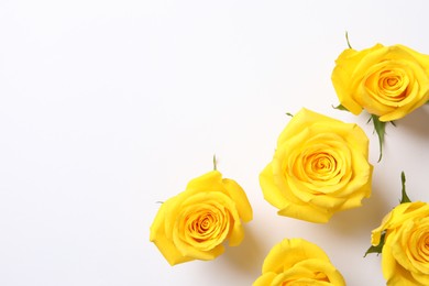 Beautiful yellow roses on white background, flat lay. Space for text