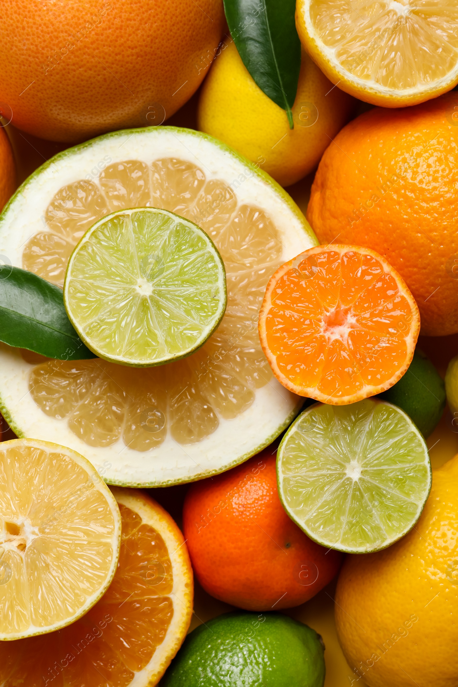 Photo of Different ripe citrus fruits with green leaves as background, top view