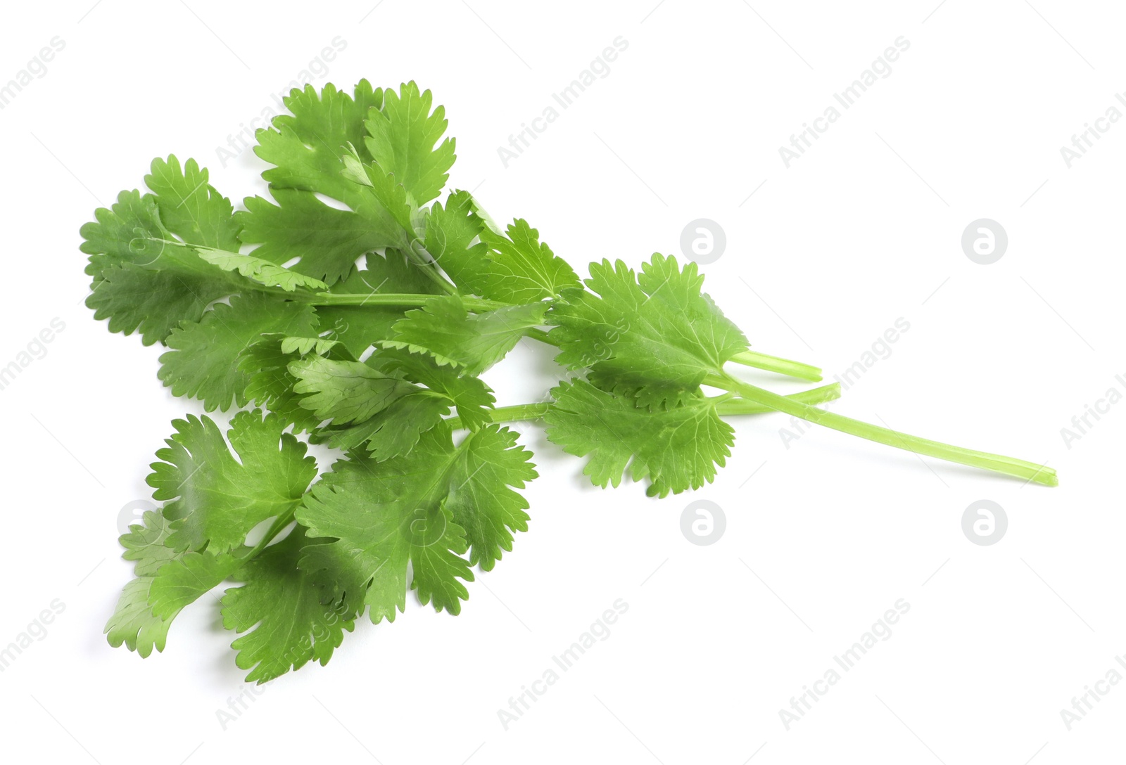 Photo of Fresh green coriander leaves on white background, top view