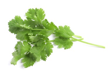 Photo of Fresh green coriander leaves on white background, top view