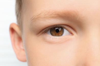 Photo of Cute little boy, closeup. Focus on eye