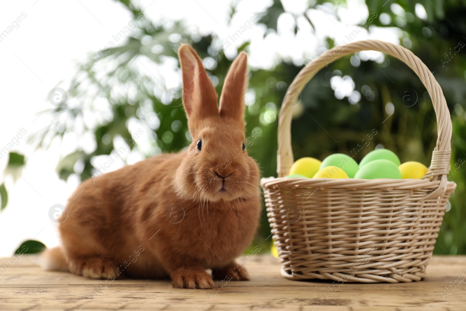 Photo of Cute bunny and basket with Easter eggs on table against blurred background