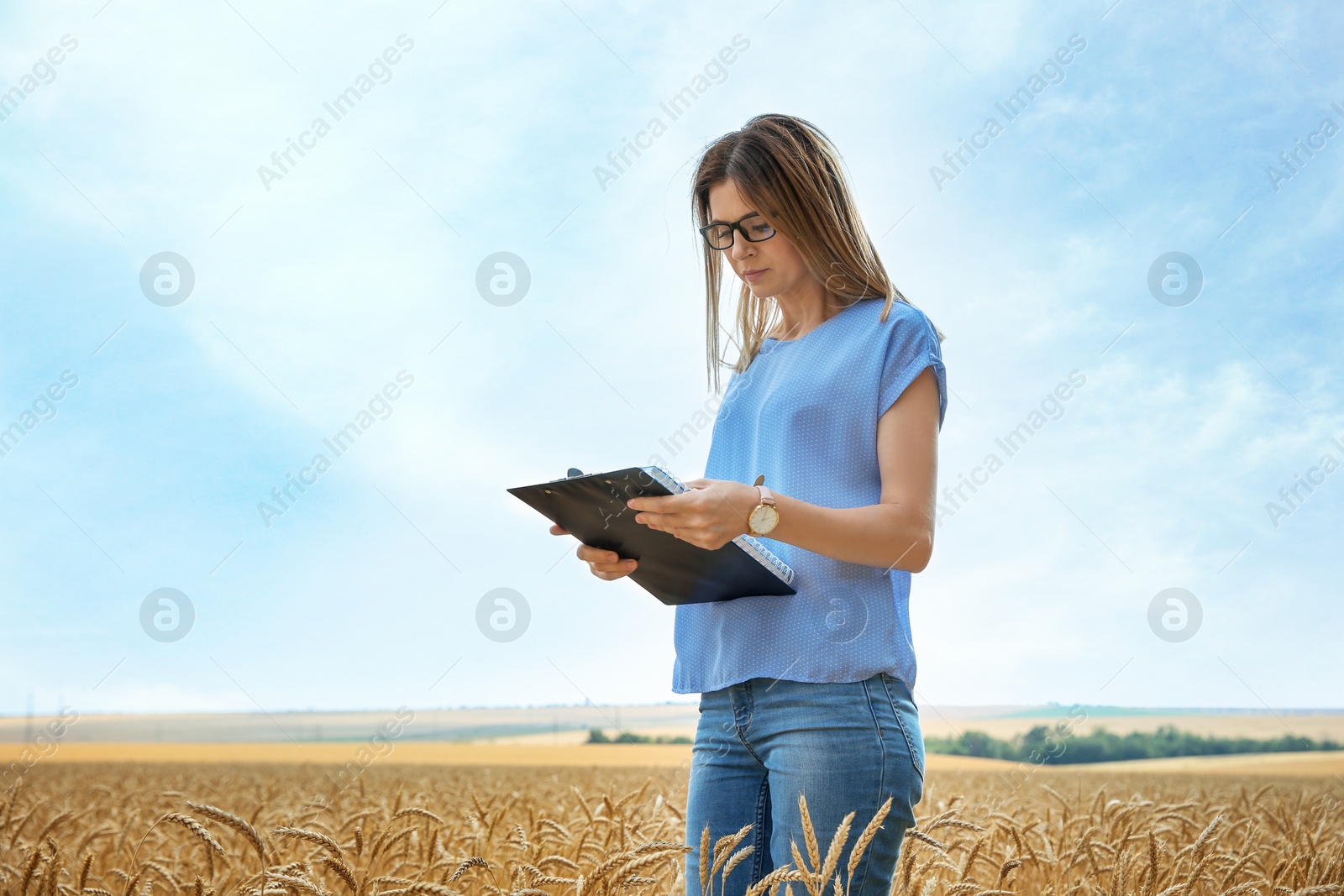 Photo of Young agronomist with clipboard in grain field. Cereal farming