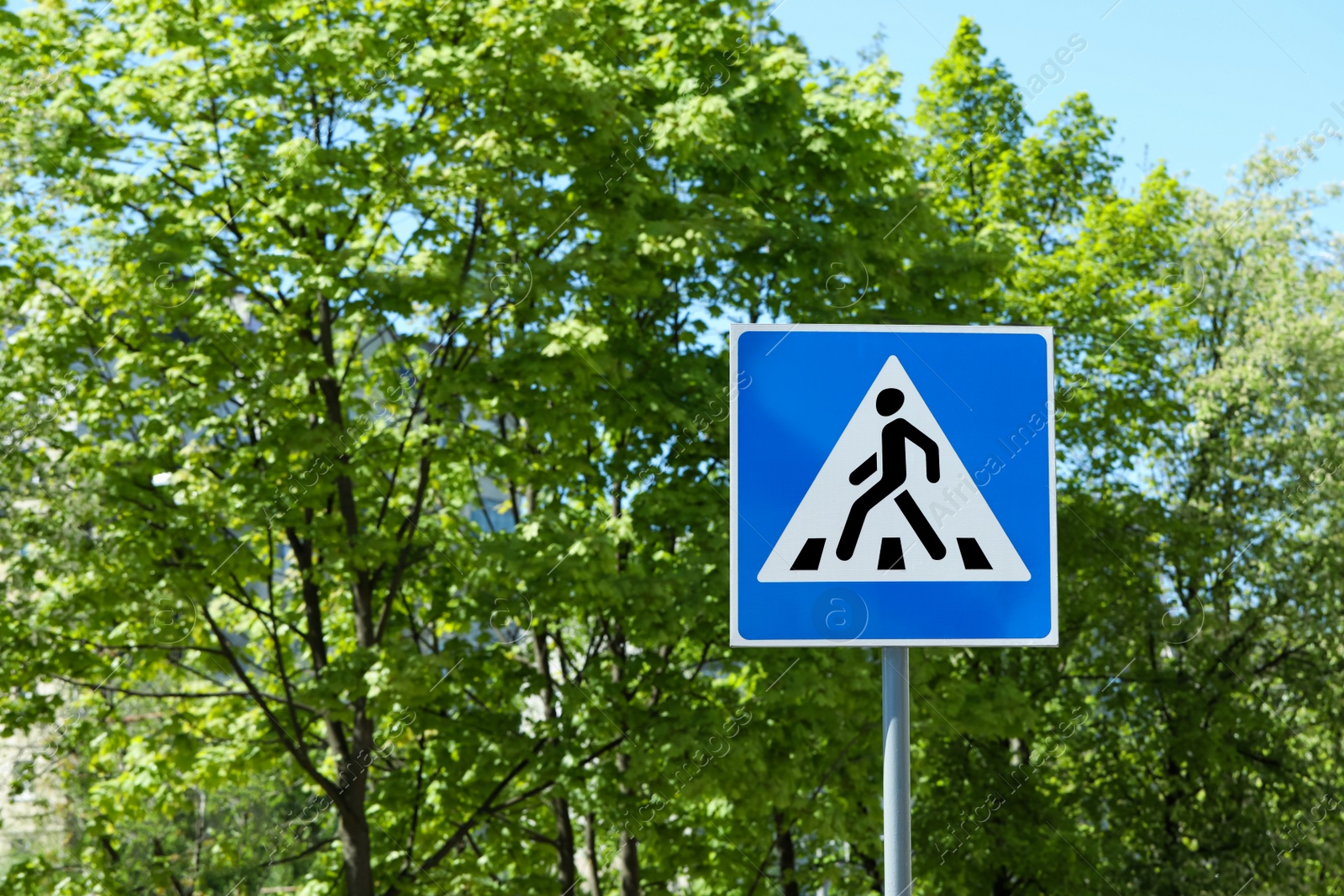 Photo of Post with Pedestrian Crossing traffic sign against trees on sunny day