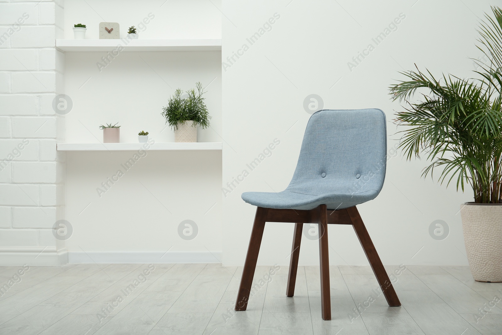 Photo of Stylish comfortable grey chair and beautiful houseplant in light room. Space for text