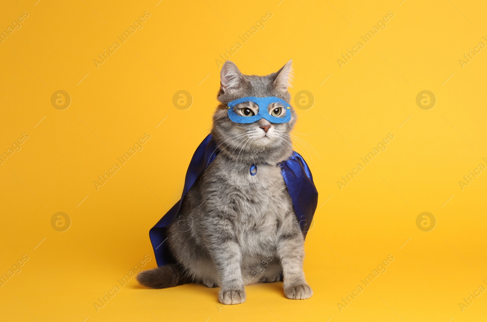 Photo of Adorable cat in blue superhero cape and mask on yellow background