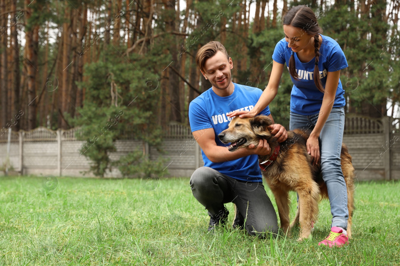 Photo of Volunteers with homeless dog at animal shelter outdoors