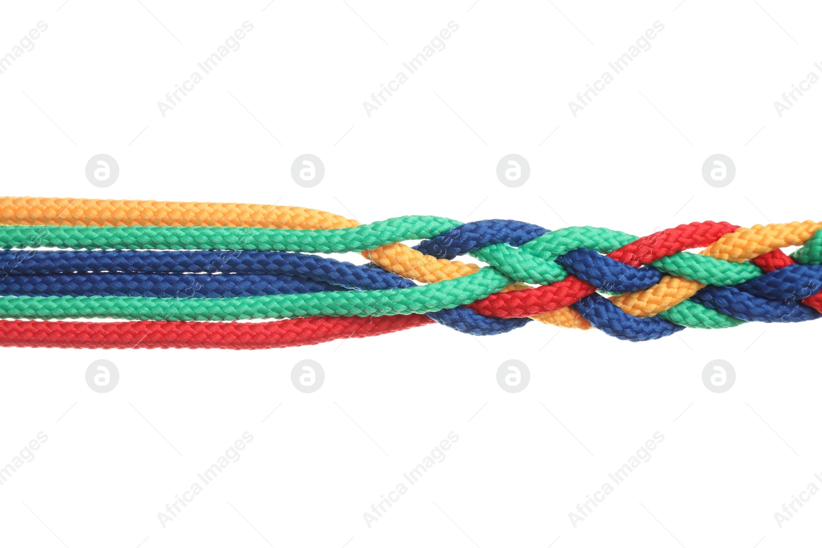 Photo of Braided colorful ropes isolated on white. Unity concept