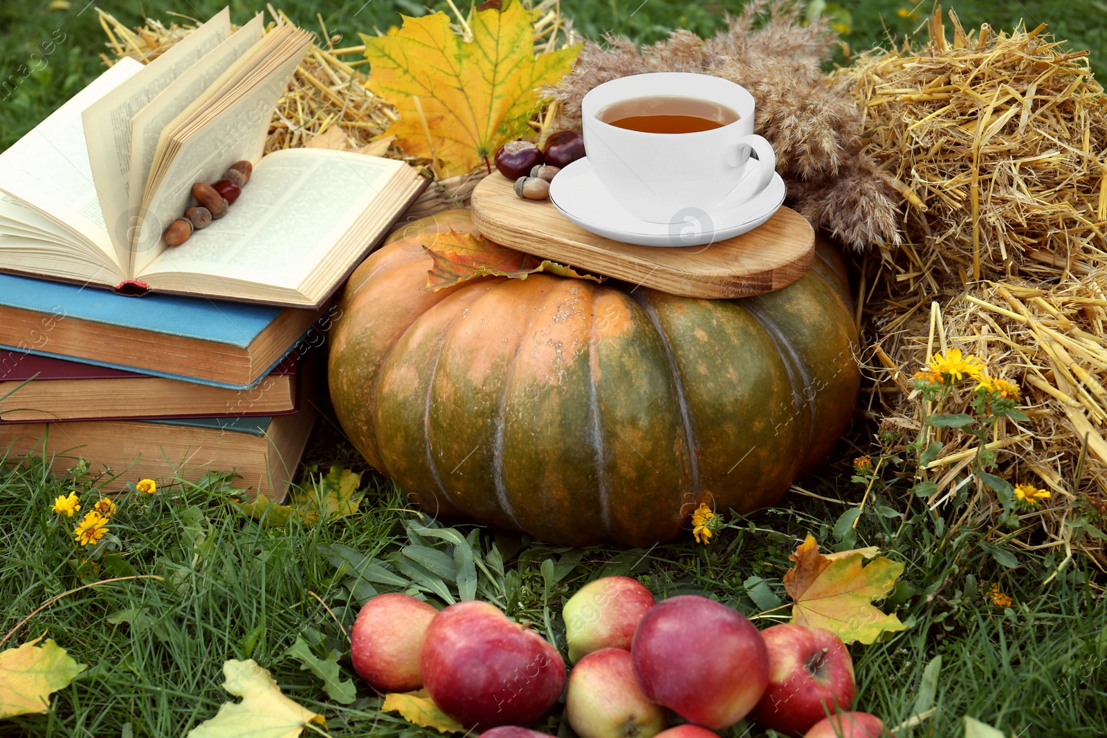 Photo of Books, pumpkin, apples and cup of tea on green grass outdoors. Autumn season