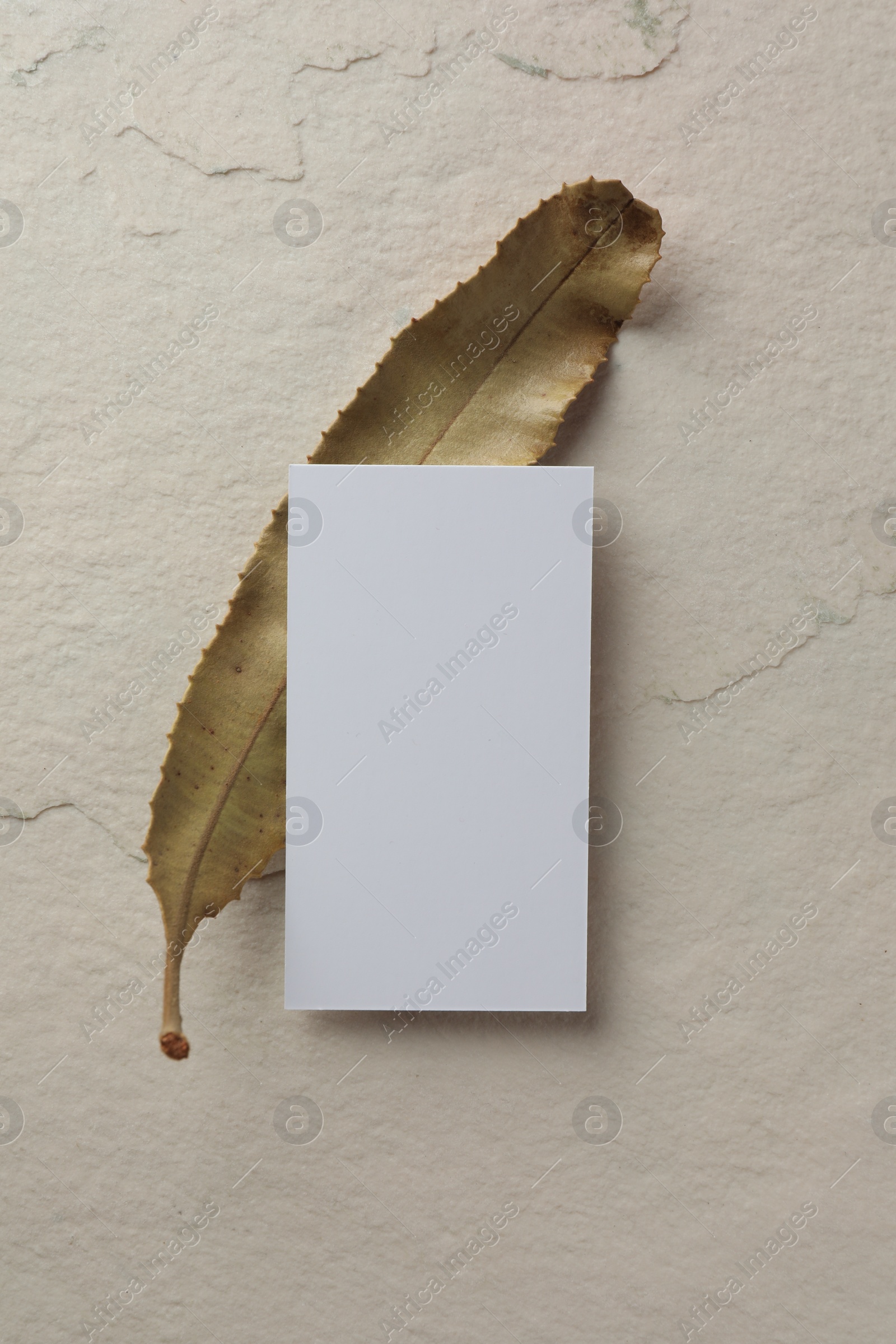 Photo of Empty business card and leaf on light textured background, top view. Mockup for design