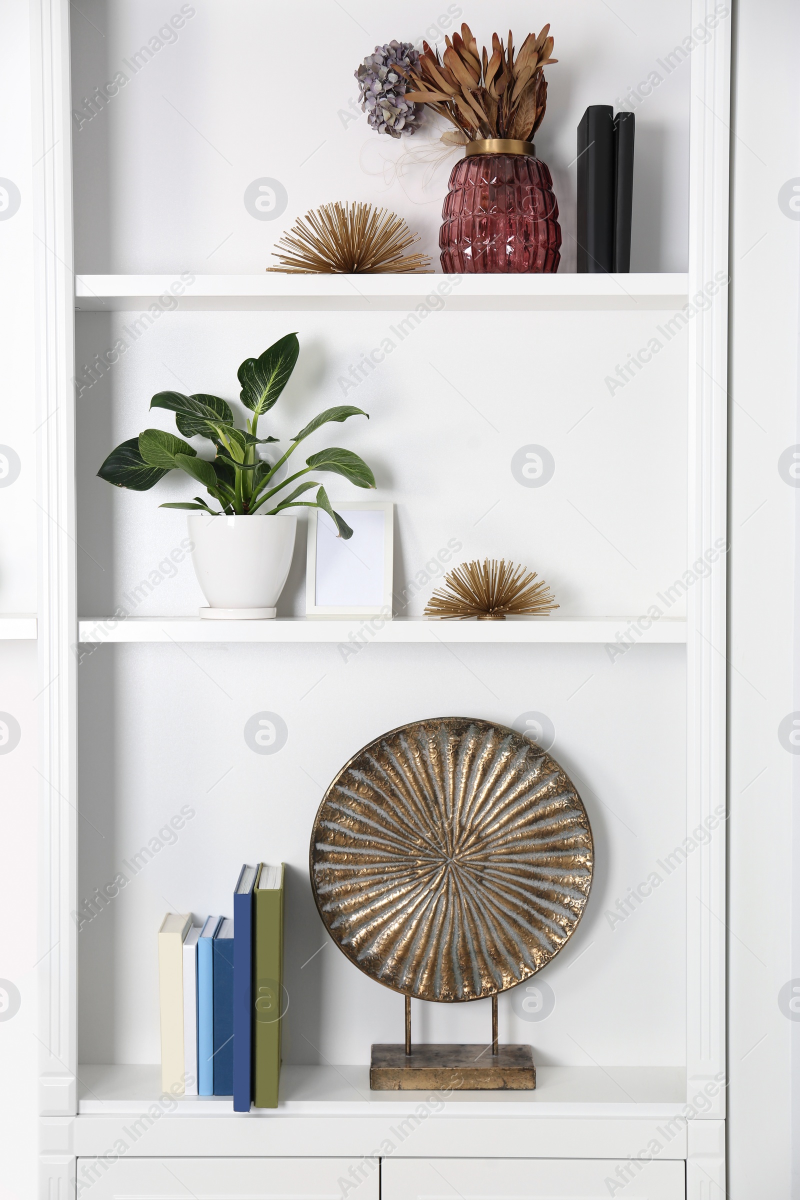 Photo of White shelving unit with houseplant and different decor elements in room. Interior design