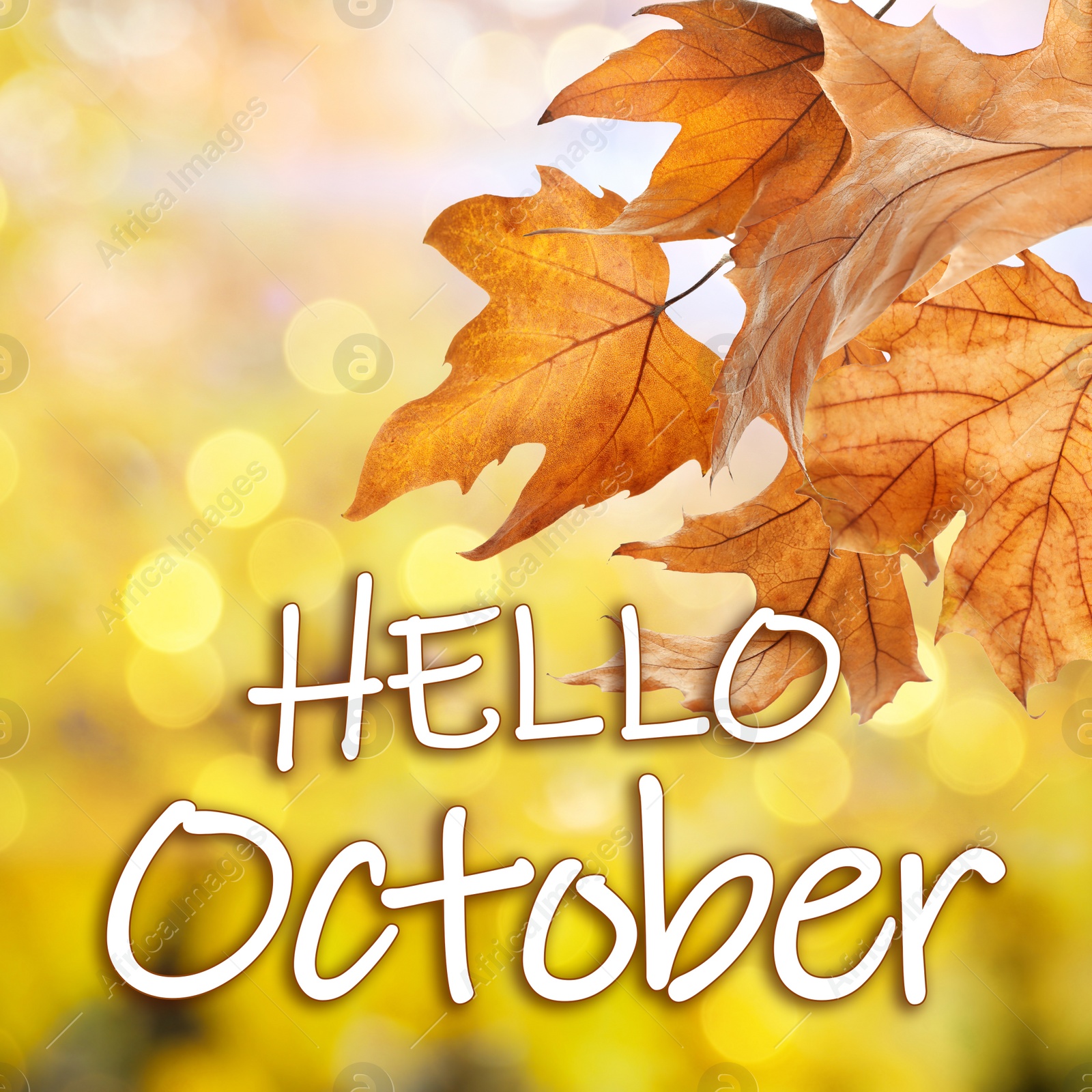 Image of Text Hello October and autumn leaves on blurred background, bokeh effect