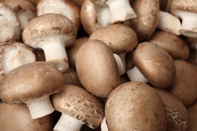 Fresh raw champignon mushrooms as background, closeup