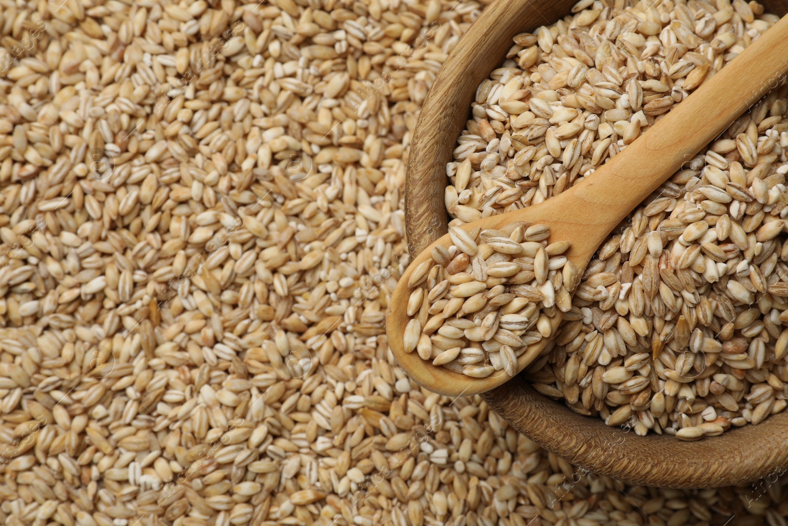 Photo of Pearl barley in bowl and spoon on dry grains, top view. Space for text