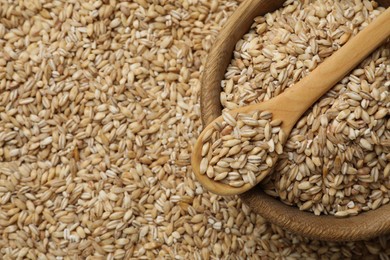 Photo of Pearl barley in bowl and spoon on dry grains, top view. Space for text
