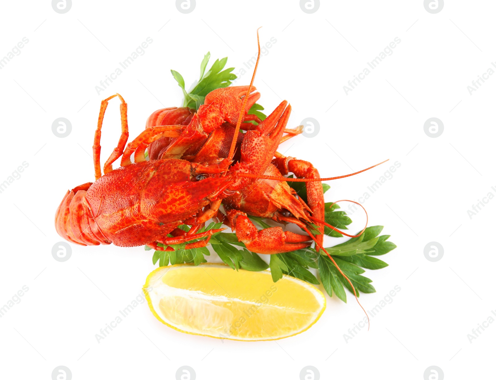 Photo of Delicious boiled crayfishes with lemon and parsley isolated on white, top view