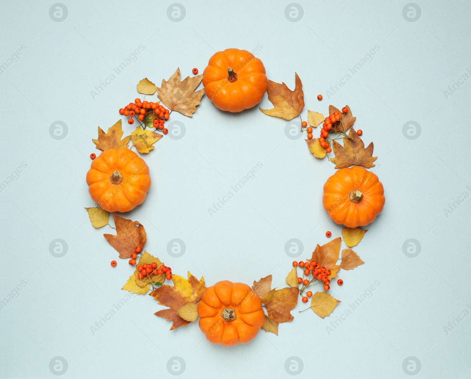 Photo of Frame made of ripe pumpkins, autumn leaves and berries on light blue background, flat lay. Space for text