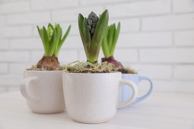 Photo of Potted hyacinth flowers on white wooden table