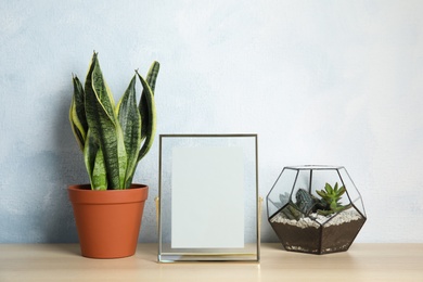 Exotic plants and photo frame on table near color wall, space for text. Home decor