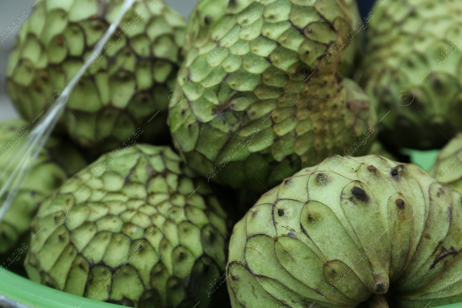 Photo of Delicious green cherimoya fruits on market stall, closeup