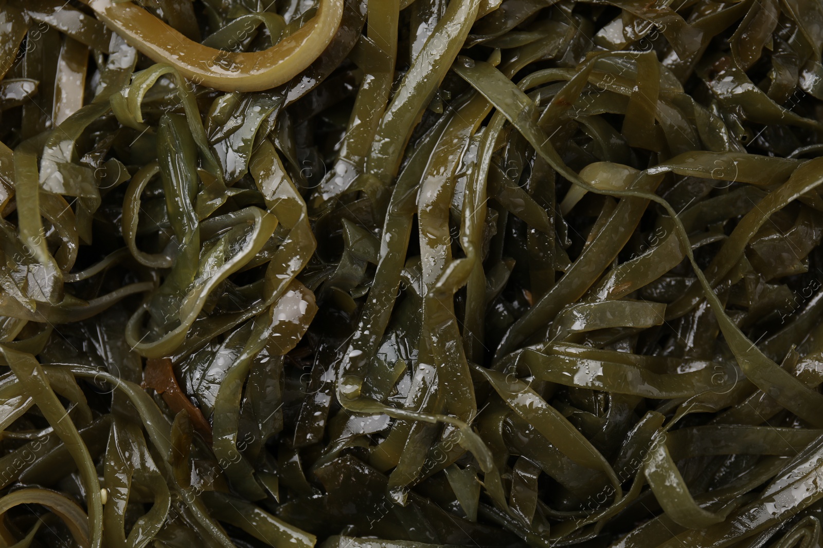 Photo of Tasty seaweed salad as background, top view