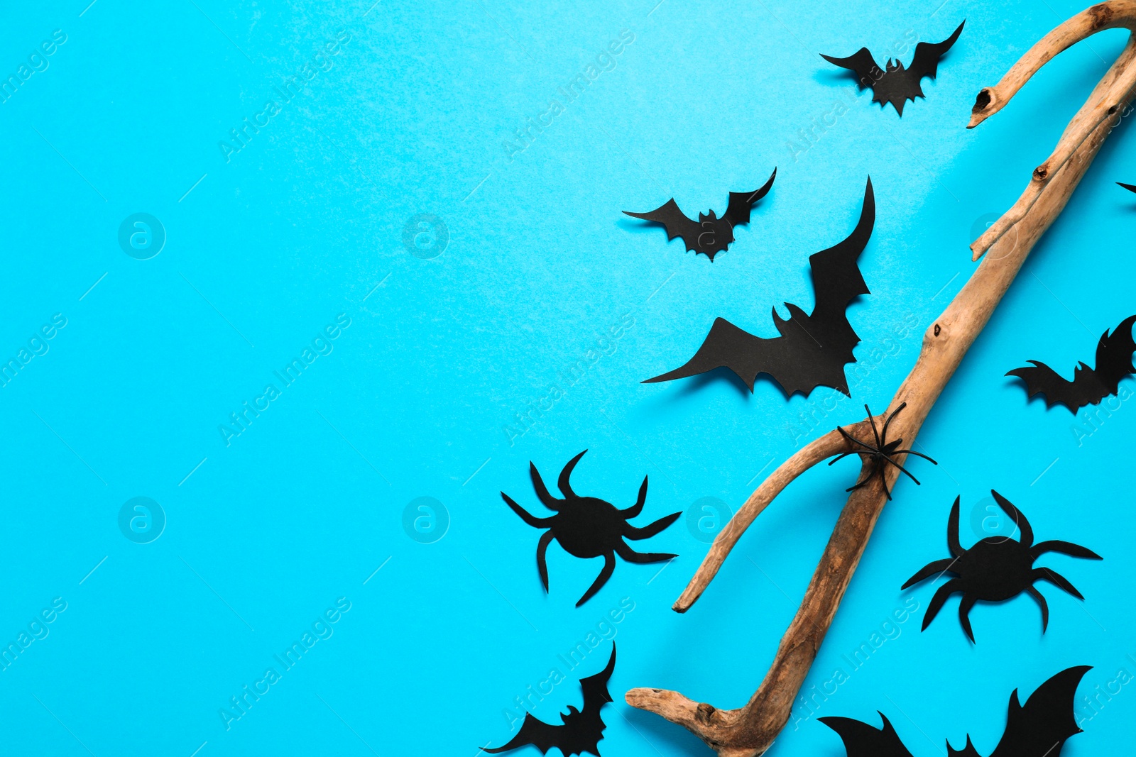 Photo of Flat lay composition with paper bats, spiders and wooden branch on light blue background, space for text. Halloween decor