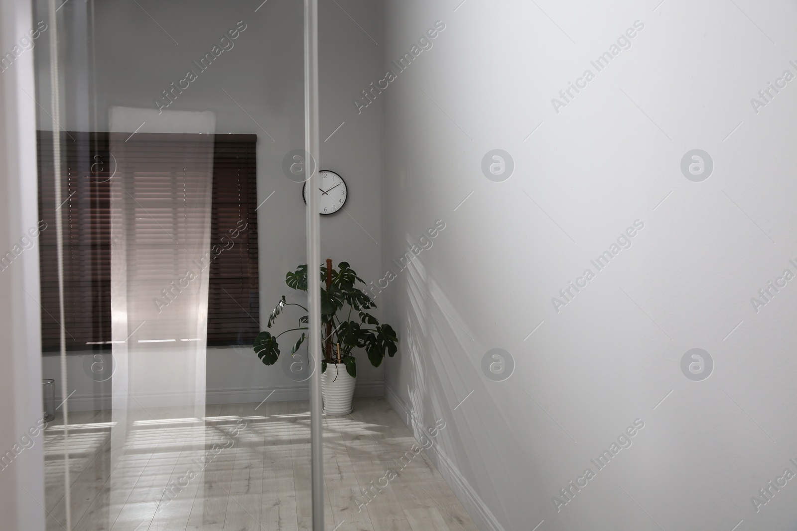 Photo of Empty office corridor with green potted plant and window