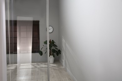 Photo of Empty office corridor with green potted plant and window