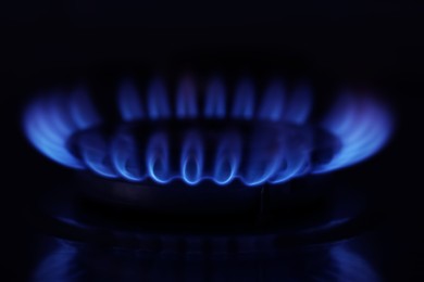 Photo of Gas burner with burning flame in darkness, closeup