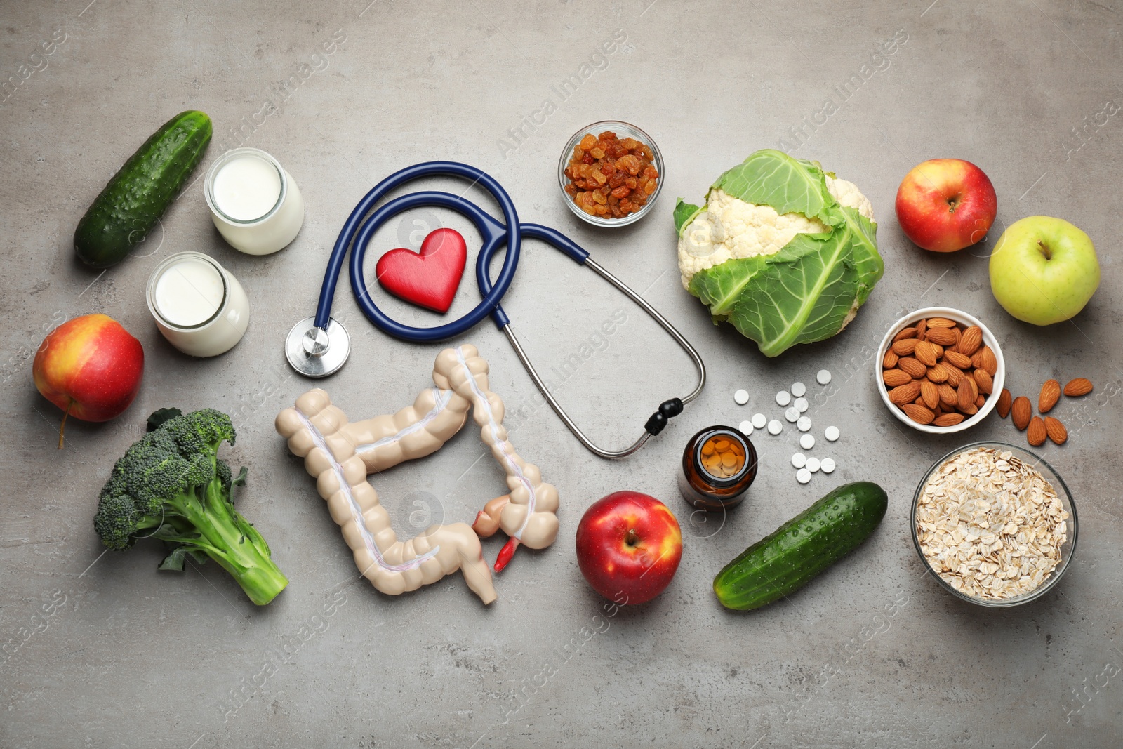 Photo of Layout of intestine model and products to help digestion on grey table, top view