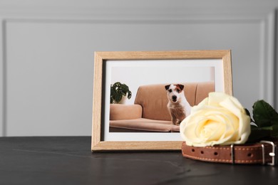 Photo of Frame with picture of dog, collar and rose on black table. Pet funeral