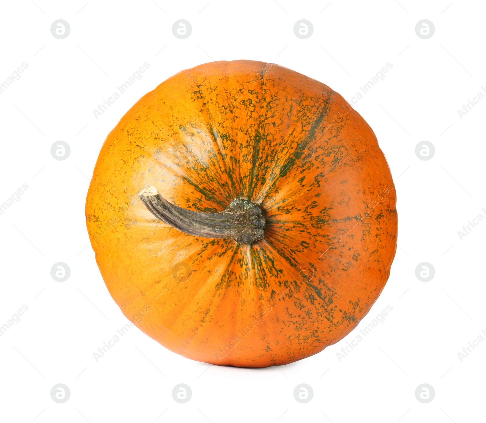 Photo of One fresh orange pumpkin isolated on white